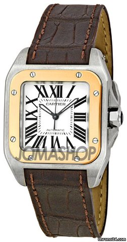 Cartier W20107X7