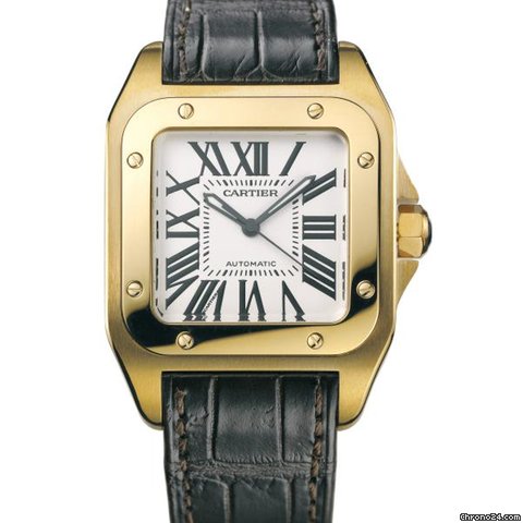 Cartier Cartier 48991