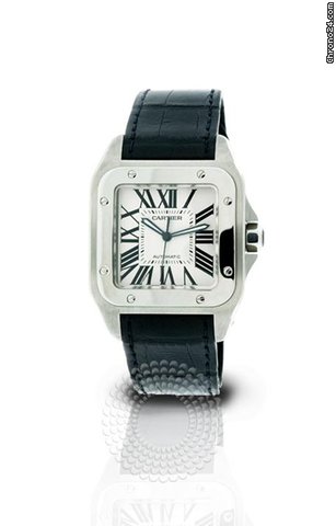 Cartier W20073X8