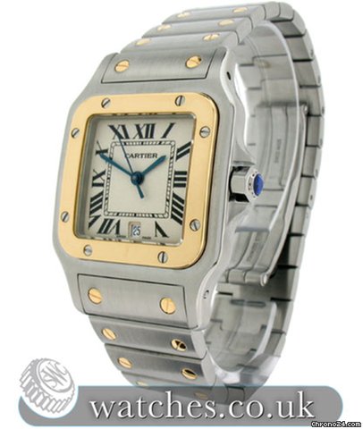 Cartier W20011C4