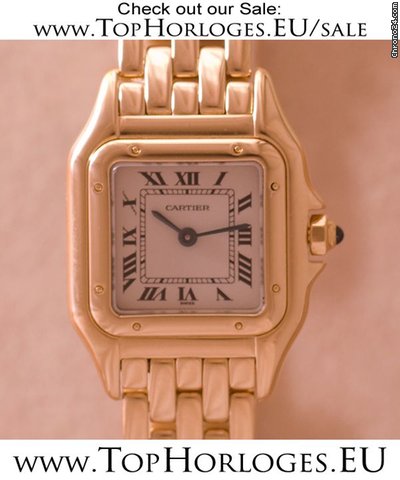 Cartier W25022B9