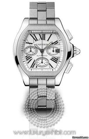 Cartier W6206019