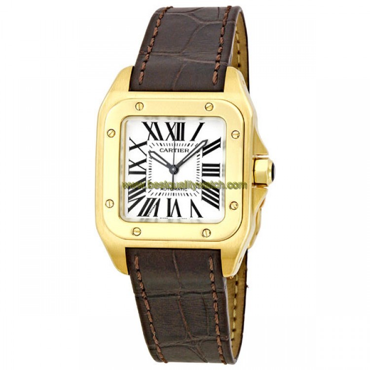 Cartier W20112Y1