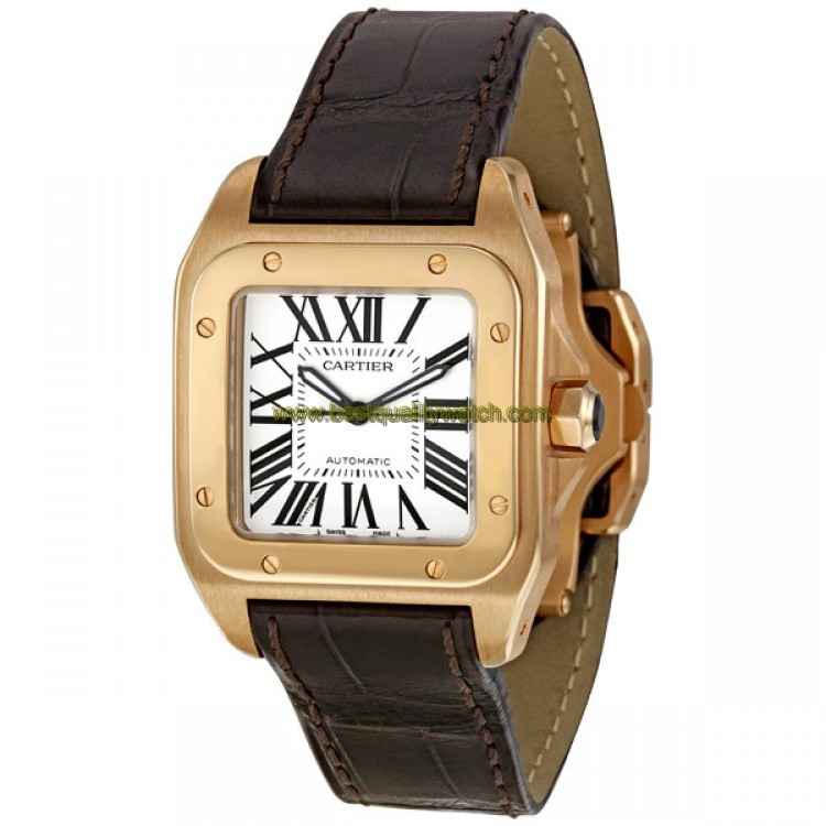 Cartier W20108Y1