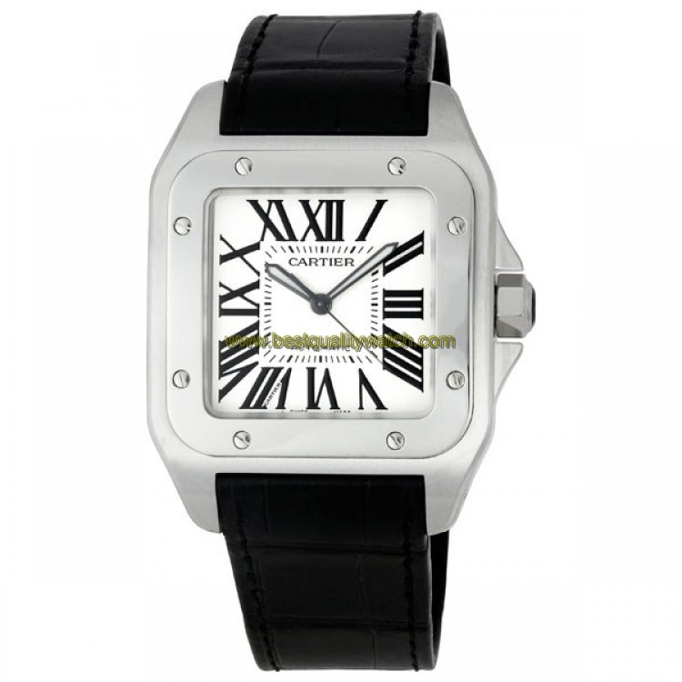 Cartier W20073X8