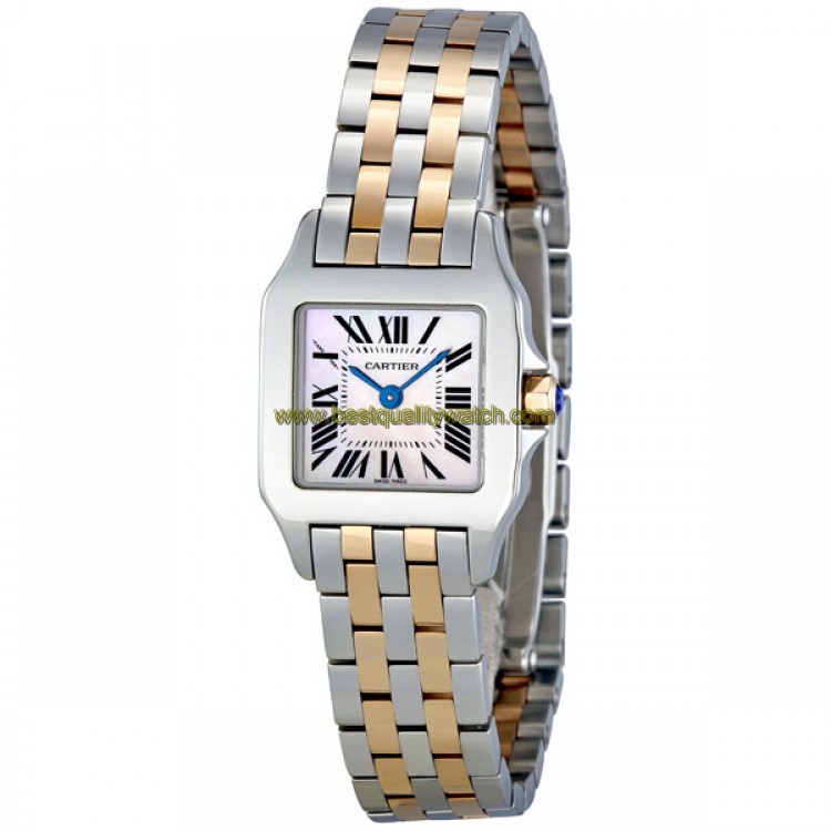 Cartier W25074Y9