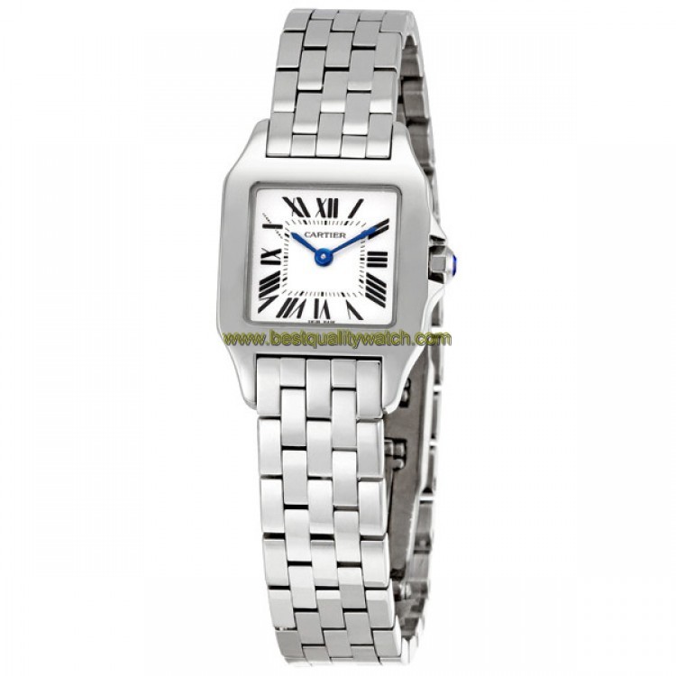 Cartier W25064Z5