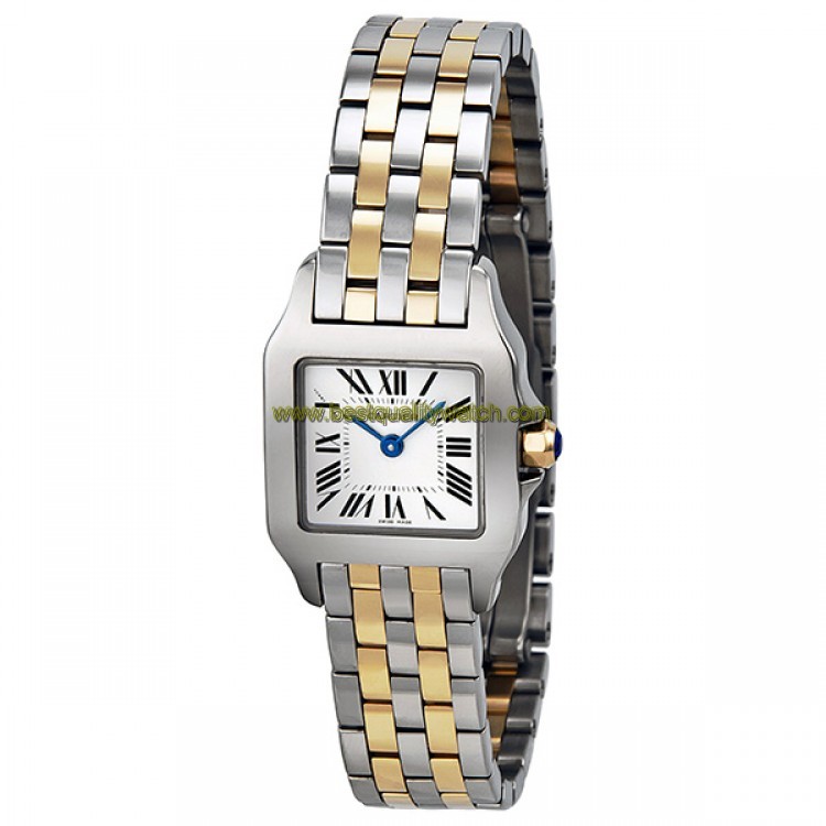 Cartier W25066Z6