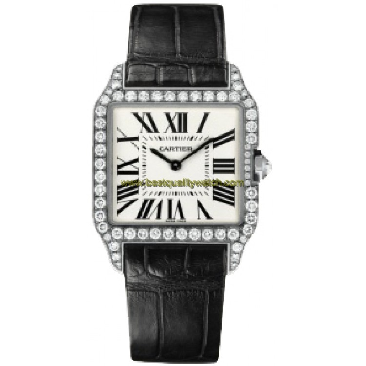 Cartier WH100251