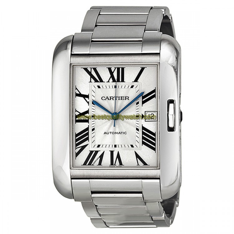 Cartier W5310025