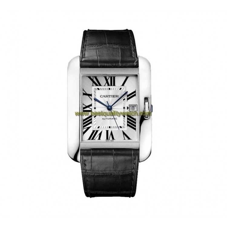 Cartier W5310033