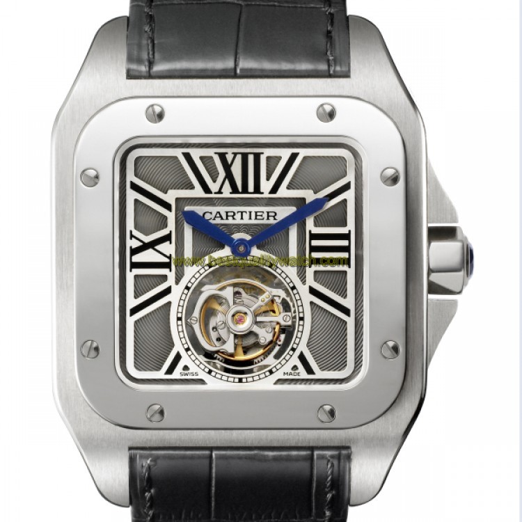 Cartier W2020017