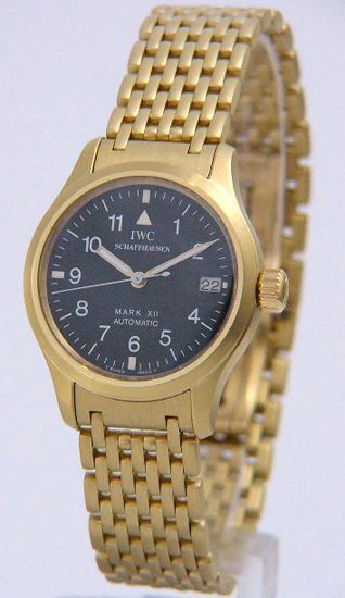 IWC IW642101