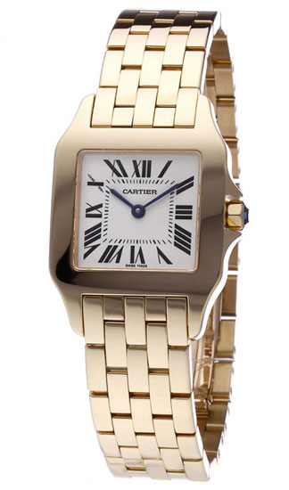Cartier W25062X9