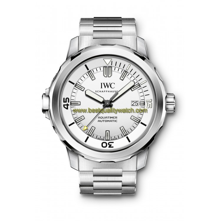 IWC IW329004