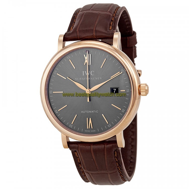 IWC IW356511