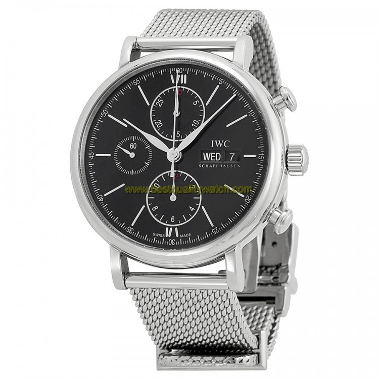 IWC IW391010