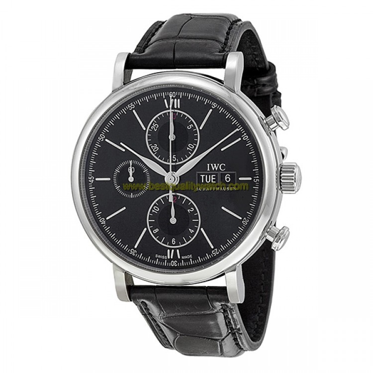 IWC IW391008
