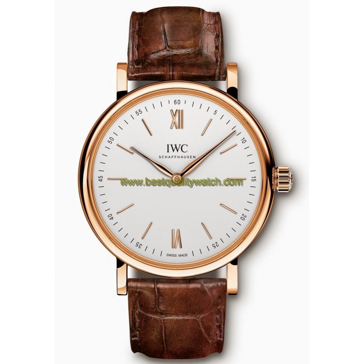 IWC IW511101
