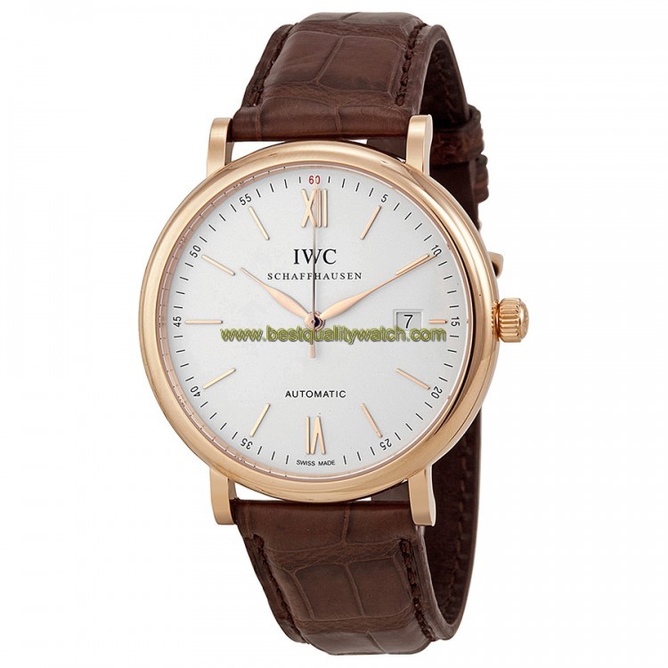 IWC IW356504