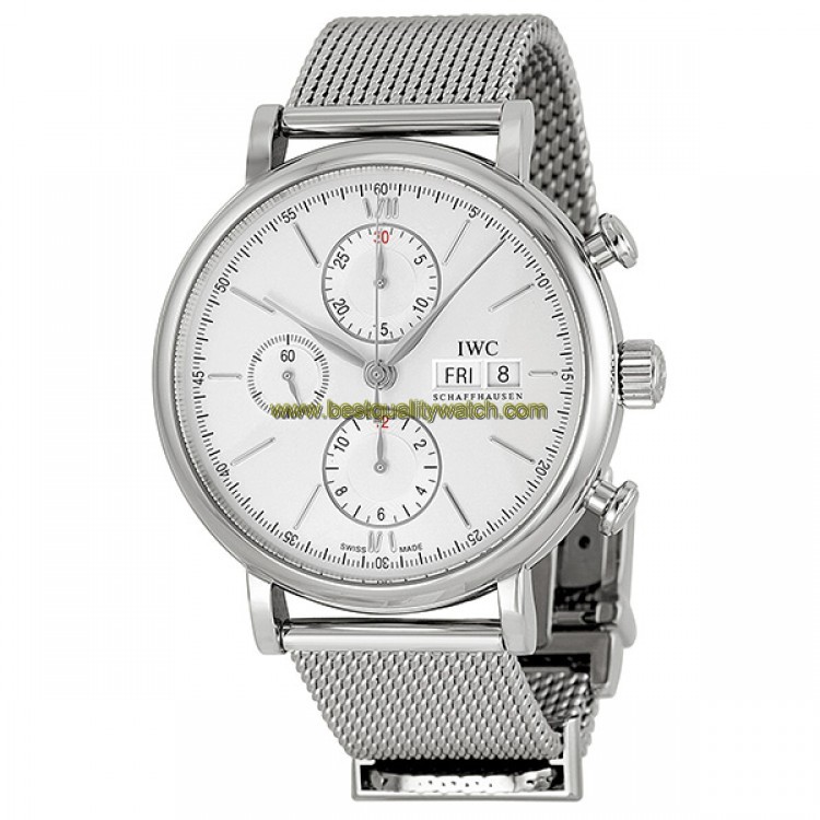 IWC IW391009