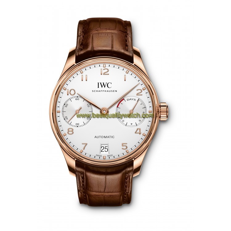 IWC IW500701