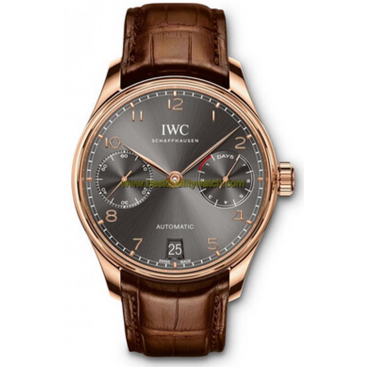 IWC IW500702