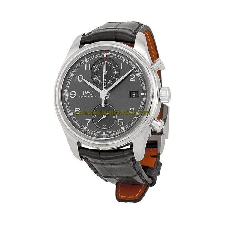 IWC IW390404