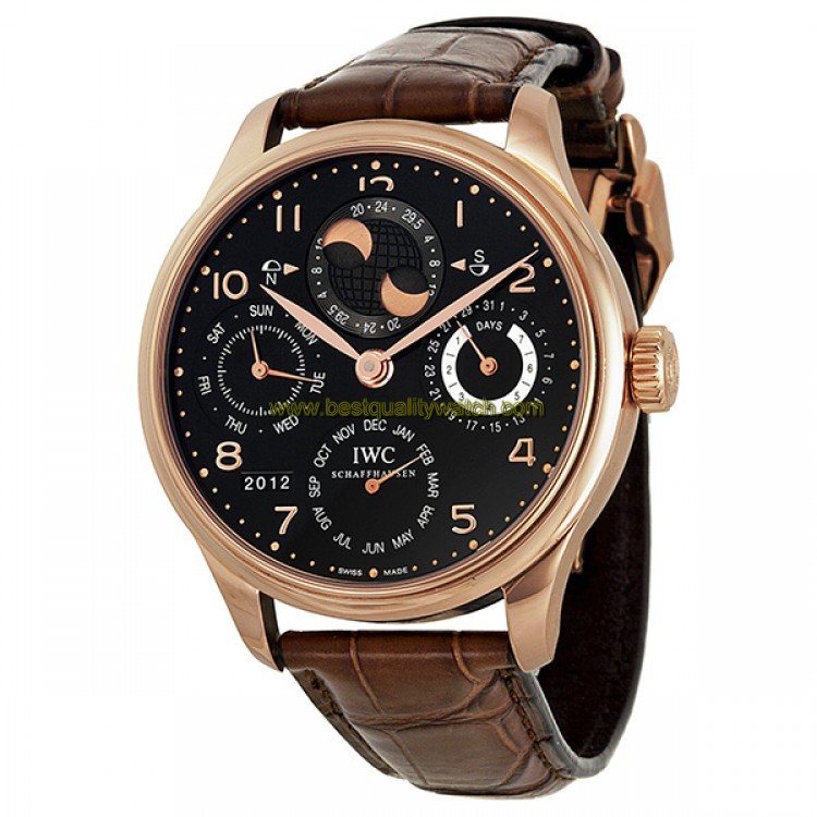 IWC IW503202