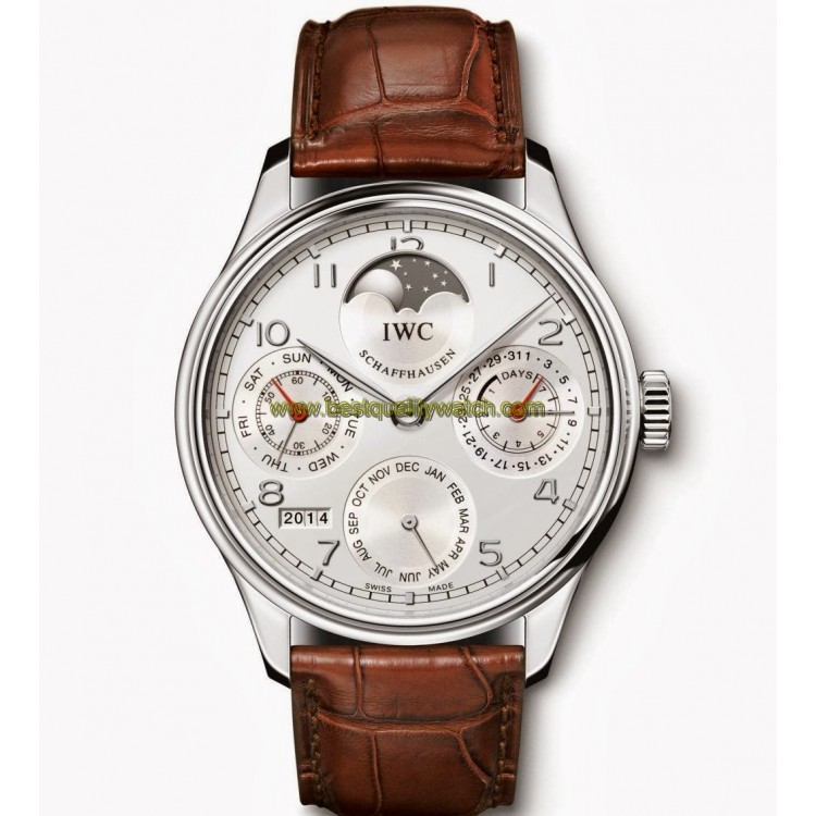 IWC IW502308