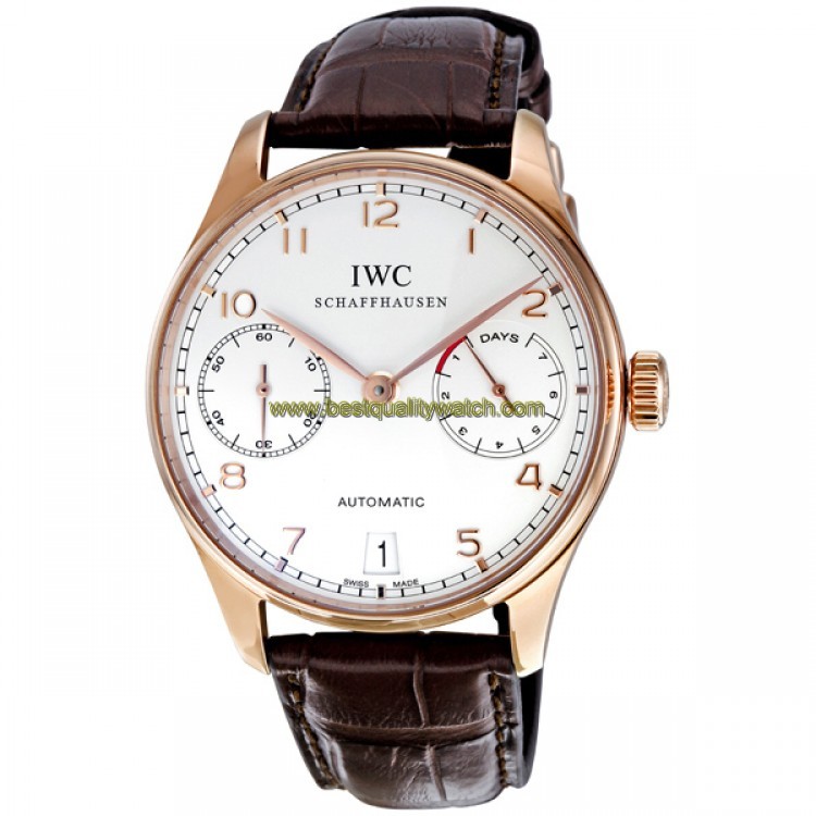 IWC IW500113