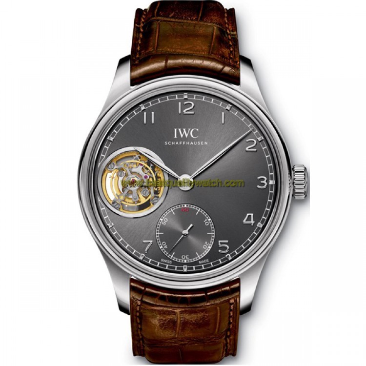 IWC IW546301