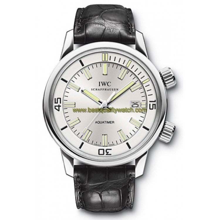 IWC IW323105