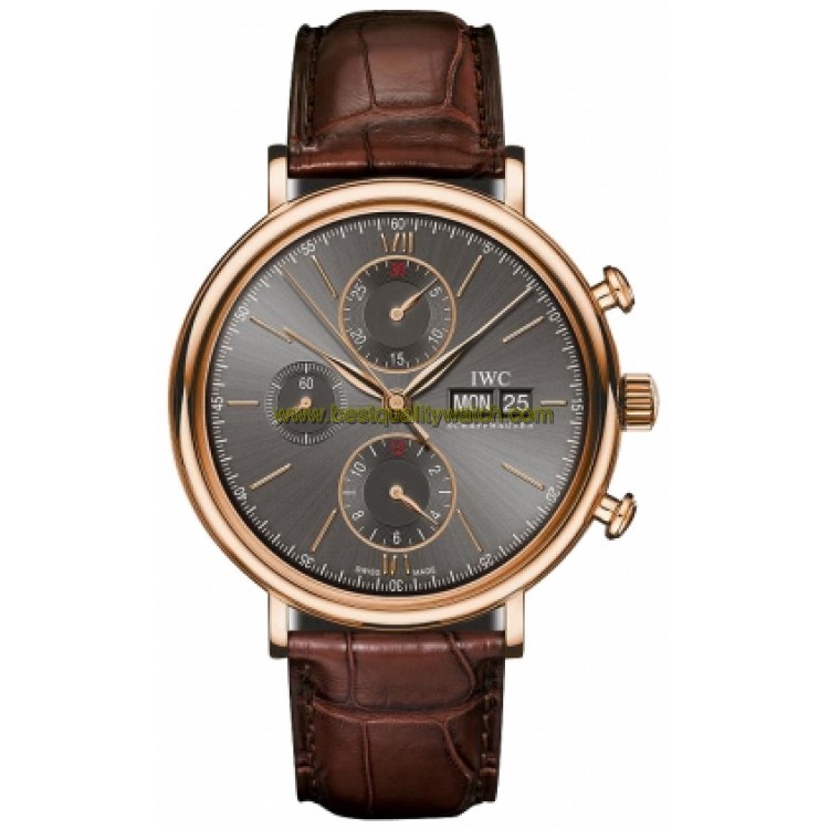 IWC IW391021