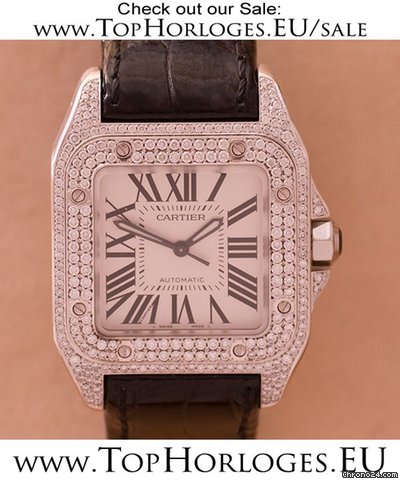 Cartier W20.126.X8