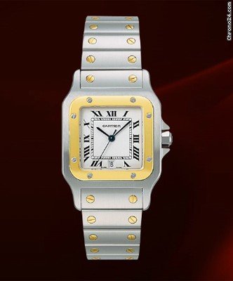 Cartier W20011C4