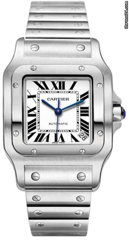 Cartier W20098D6