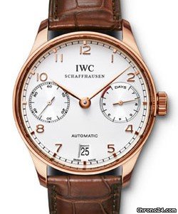 IWC IW500113