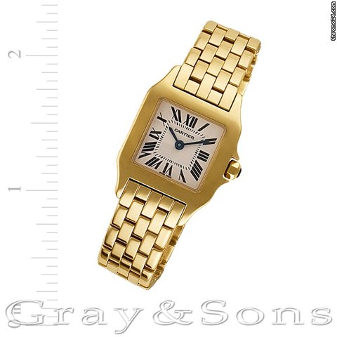 Cartier W25063X9