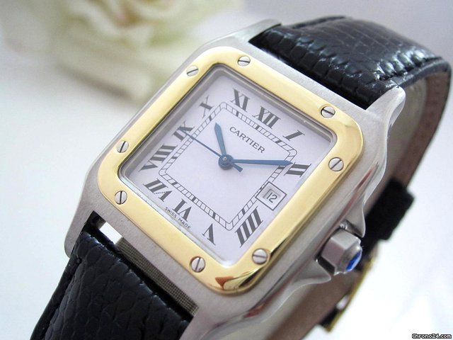 Cartier Cartier 17303