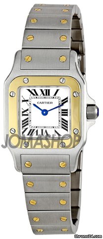 Cartier W20012C4