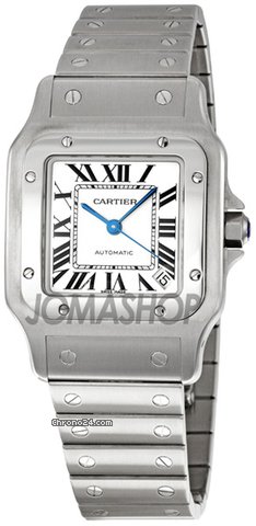 Cartier W20098D6