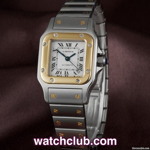 Cartier W20012C4