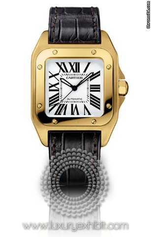 Cartier W20112Y1