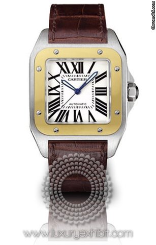 Cartier W20072X7