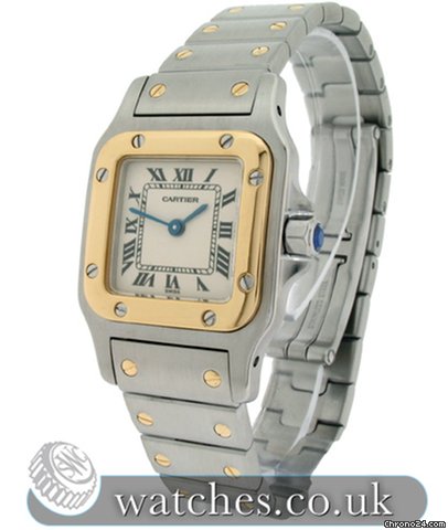 Cartier W20012C4