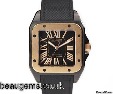Cartier W2020009