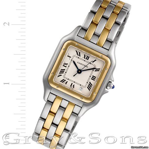 Cartier W25028B