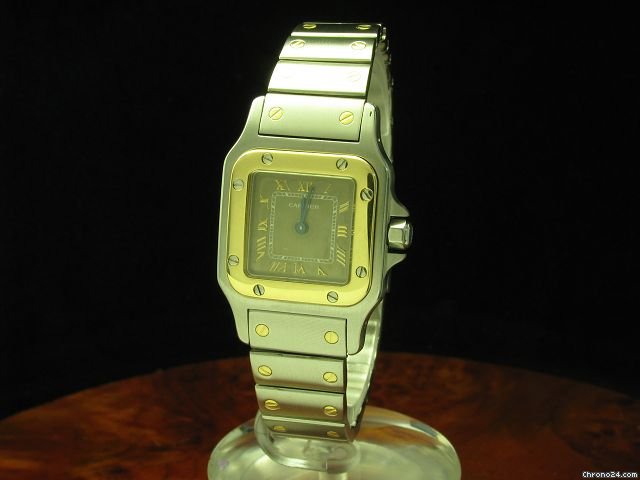 Cartier W20031C4